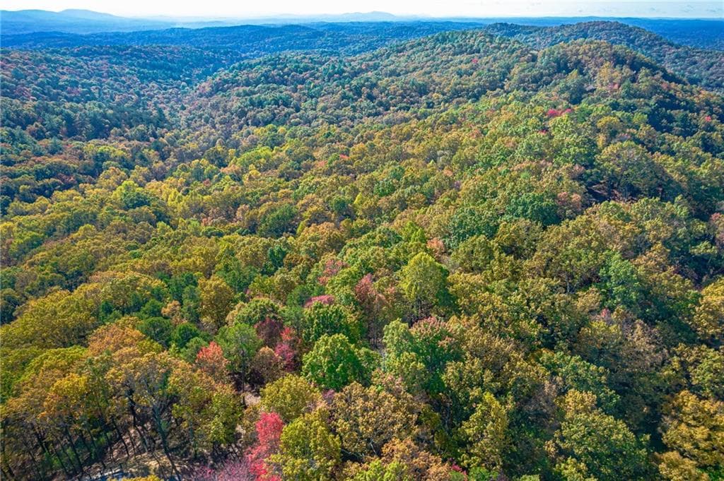 single family residence for sale at Lot 19 Oceola Drive, Ellijay, GA 30540 — photo 8