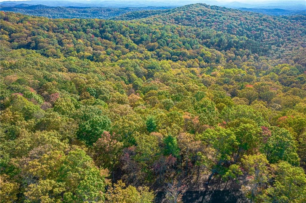 single family residence for sale at Lot 19 Oceola Drive, Ellijay, GA 30540 — photo 9