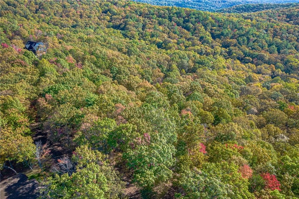 single family residence for sale at Lot 19 Oceola Drive, Ellijay, GA 30540 — photo 10
