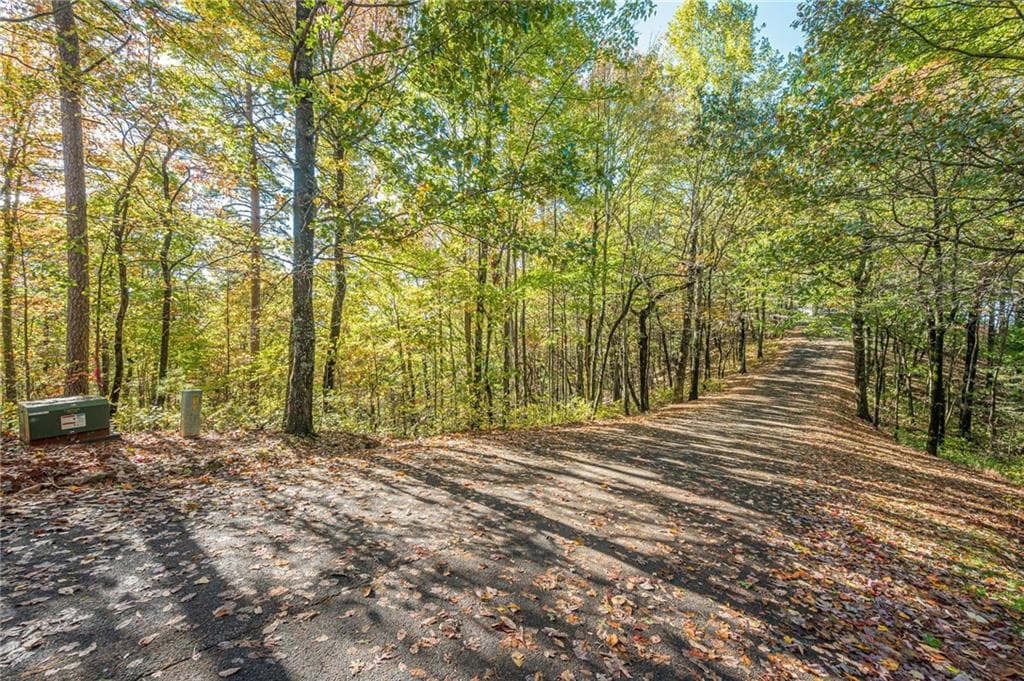 single family residence for sale at Lot 19 Oceola Drive, Ellijay, GA 30540 — photo 5