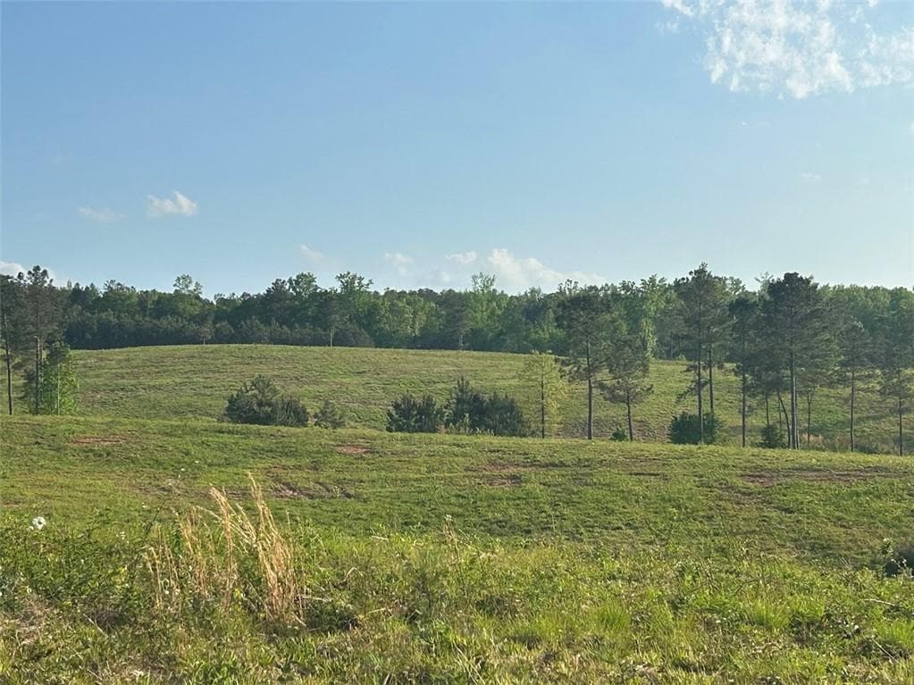 other for sale at 0 Needmore Rd Unit (345.37 ACRES), Roopville, GA 30170