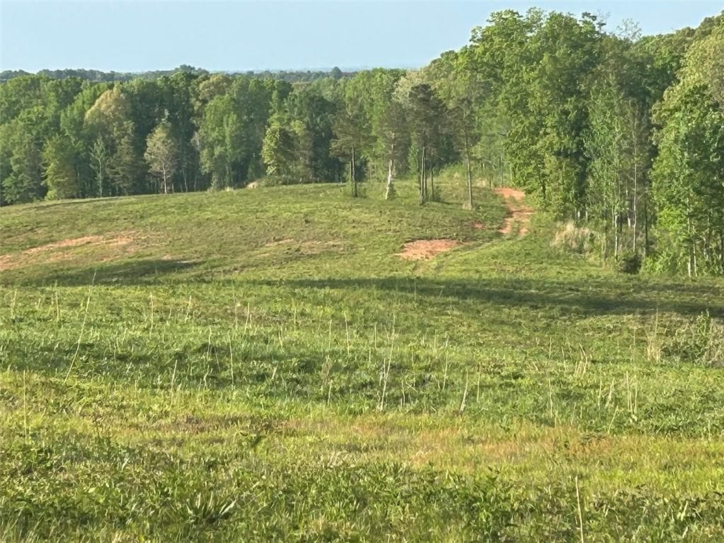 other for sale at 0 Needmore Rd Unit (345.37 ACRES), Roopville, GA 30170 — photo 2