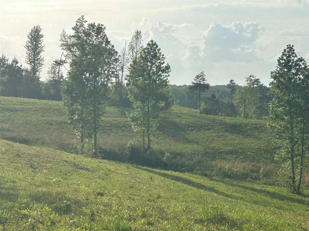 other for sale at 0 Needmore Rd Unit (345.37 ACRES), Roopville, GA 30170 — photo 3