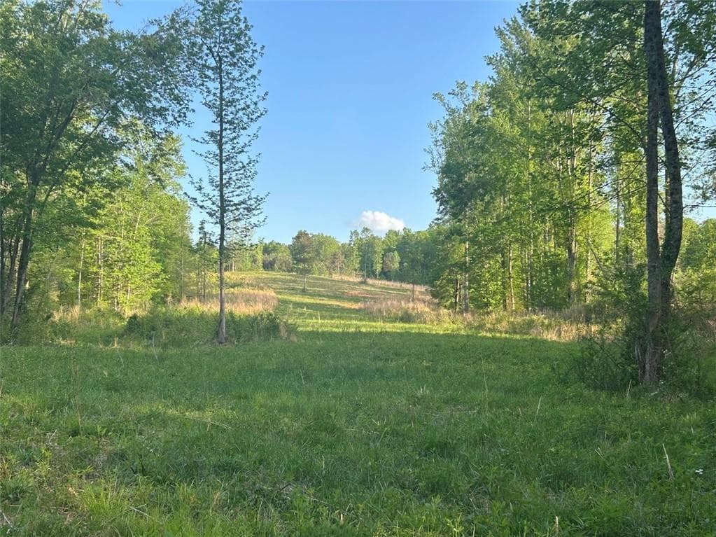 other for sale at 0 Needmore Rd Unit (345.37 ACRES), Roopville, GA 30170 — photo 4