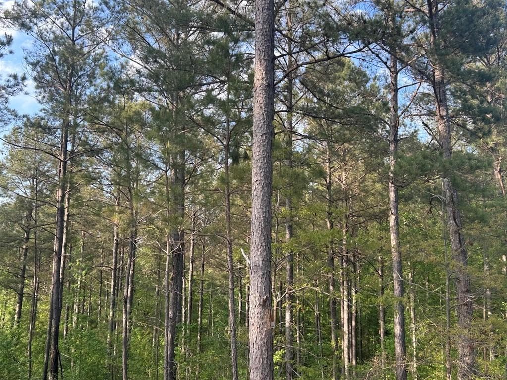 other for sale at 0 Needmore Rd Unit (345.37 ACRES), Roopville, GA 30170 — photo 5