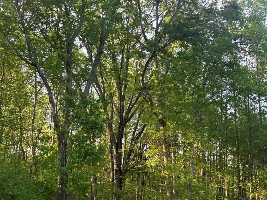 other for sale at 0 Needmore Rd Unit (345.37 ACRES), Roopville, GA 30170 — photo 6