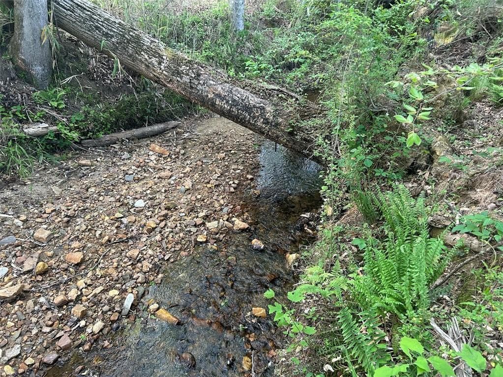 other for sale at 0 Needmore Rd Unit (345.37 ACRES), Roopville, GA 30170 — photo 7