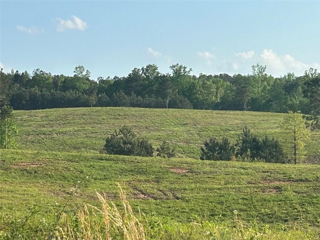 other for sale at 0 Needmore Rd Unit (345.37 ACRES), Roopville, GA 30170 — photo 8