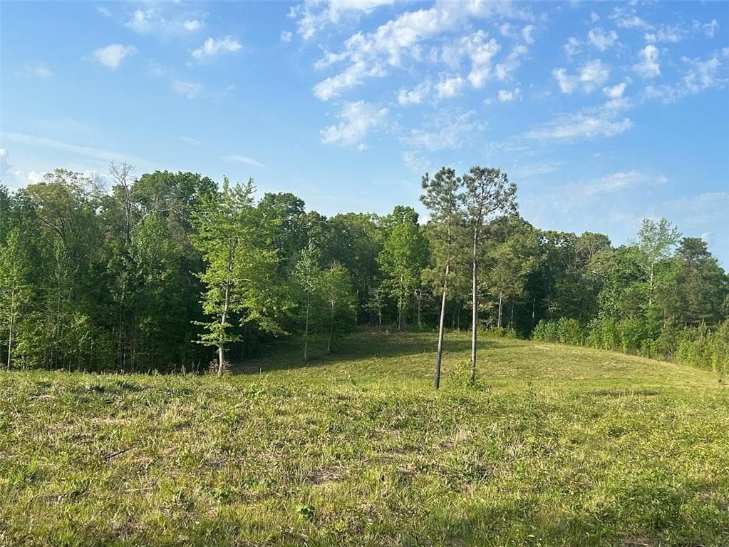 other for sale at 0 Needmore Rd Unit (345.37 ACRES), Roopville, GA 30170 — photo 9