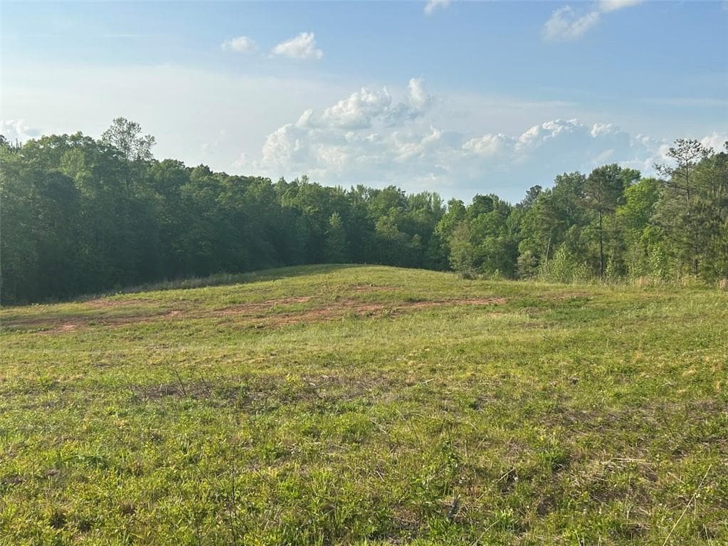 other for sale at 0 Needmore Rd Unit (345.37 ACRES), Roopville, GA 30170 — photo 10