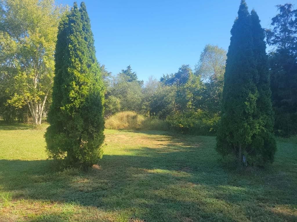 other sold at 849 Booger Hollow Rd, Lindale, GA 30147