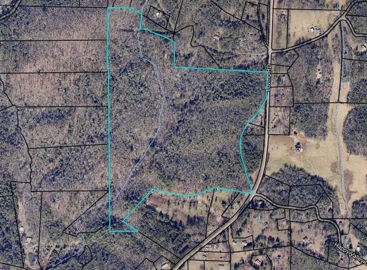 unimproved land for sale at 0 Loving Road, Morganton, GA 30560 — photo 1 of 3