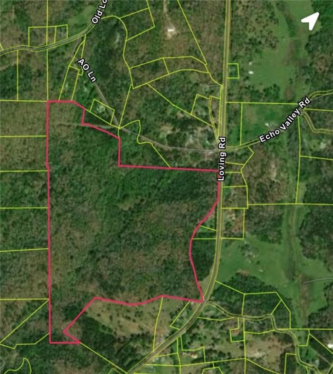 unimproved land for sale at 0 Loving Road, Morganton, GA 30560 — photo 2