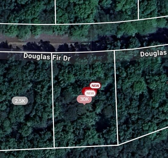 105 Douglas Fir Drive, Waleska, GA 30183 — most recent listing photo