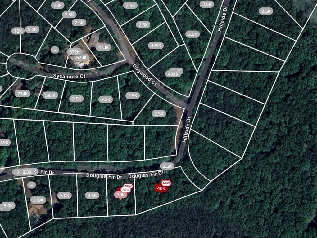 single family residence for sale at 101 Douglas Fir Drive, Waleska, GA 30183 — photo 2