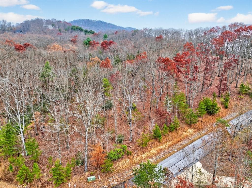 other for sale at #185 Northshore Drive, Cleveland, GA 30528 — photo 1 of 27