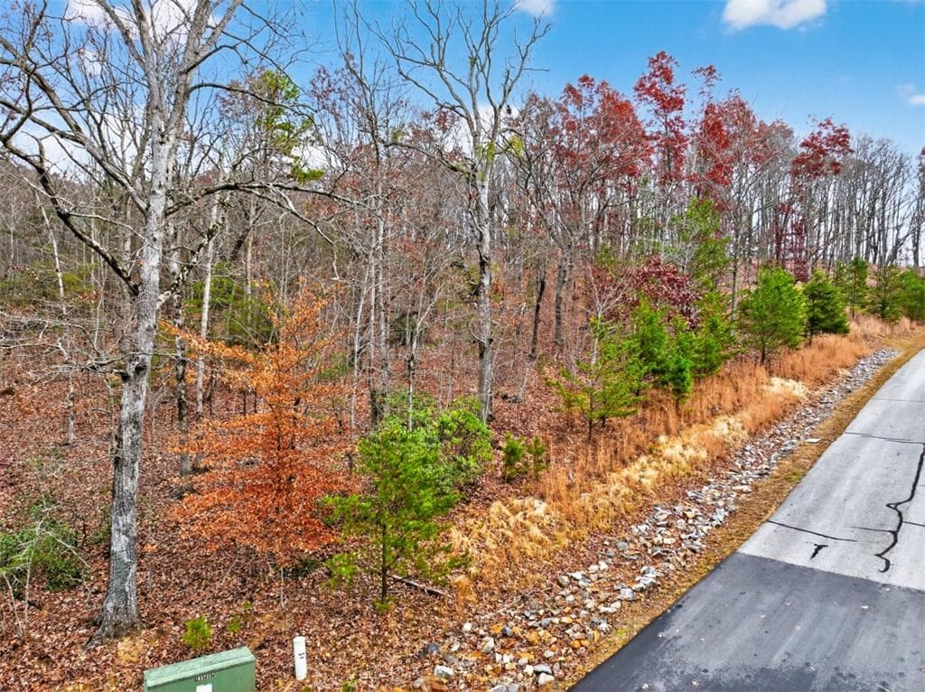 other for sale at #185 Northshore Drive, Cleveland, GA 30528 — photo 8