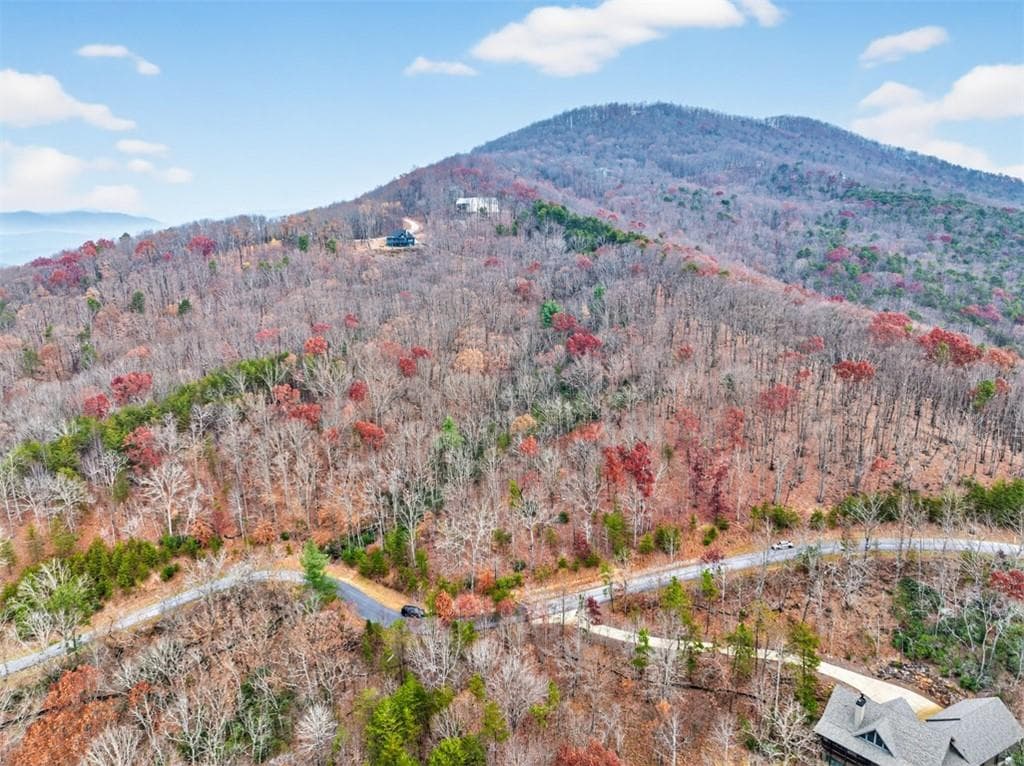 other for sale at #185 Northshore Drive, Cleveland, GA 30528 — photo 9