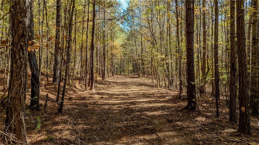 unimproved land for sale at 0 Jones Ferry Road LOt 3, Chattahoochee Hills, GA 30268 — photo 3