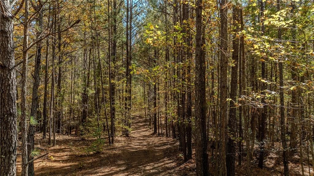 unimproved land for sale at 0 Jones Ferry Road LOt 3, Chattahoochee Hills, GA 30268 — photo 4