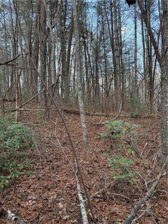unimproved land for sale at 0 Meadowbrook Drive, Ellijay, GA 30540 — photo 1 of 4