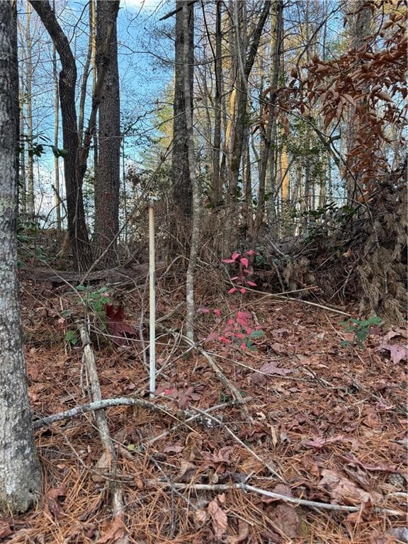 unimproved land for sale at 0 Meadowbrook Drive, Ellijay, GA 30540 — photo 3