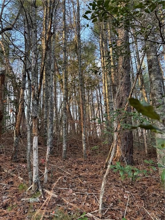 unimproved land for sale at 0 Meadowbrook Drive, Ellijay, GA 30540 — photo 4