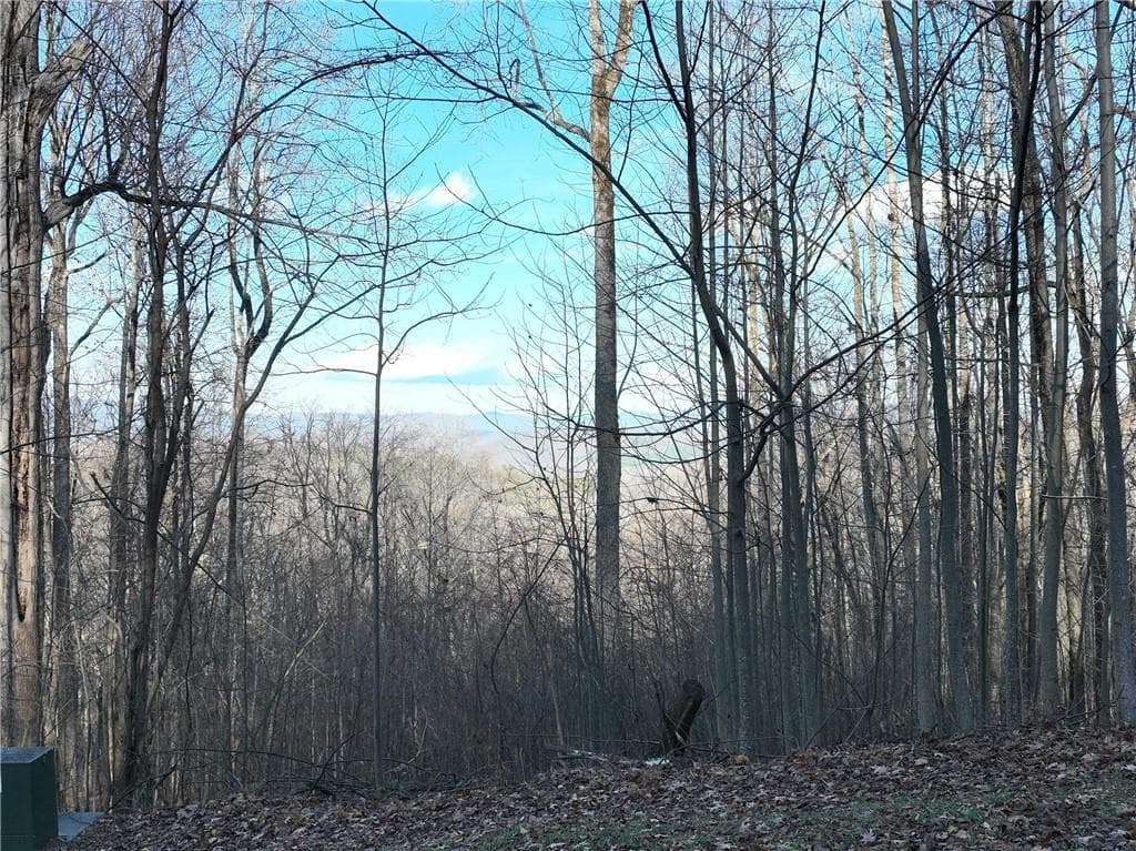 single family residence for sale at 281 Andes Ridge, Ellijay, GA 30536 — photo 2