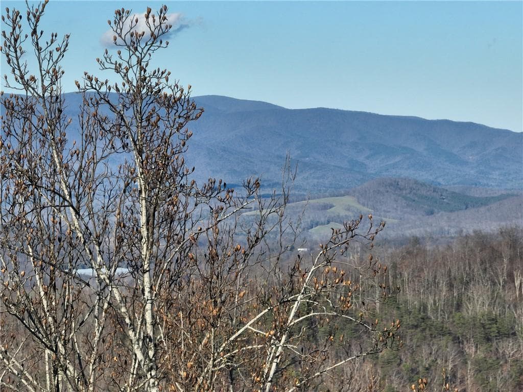 single family residence for sale at 281 Andes Ridge, Ellijay, GA 30536 — photo 3