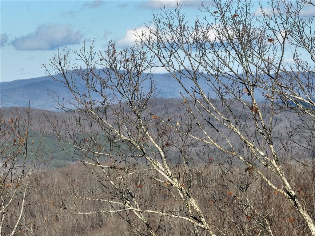 single family residence for sale at 281 Andes Ridge, Ellijay, GA 30536 — photo 6