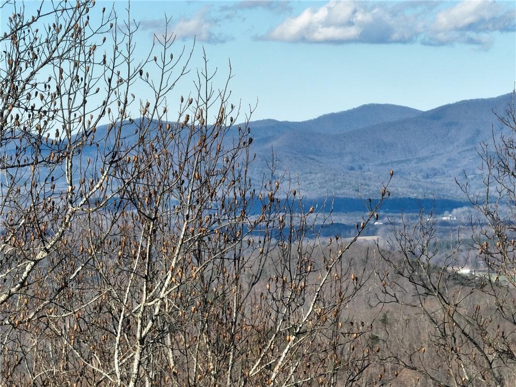 single family residence for sale at 281 Andes Ridge, Ellijay, GA 30536 — photo 10