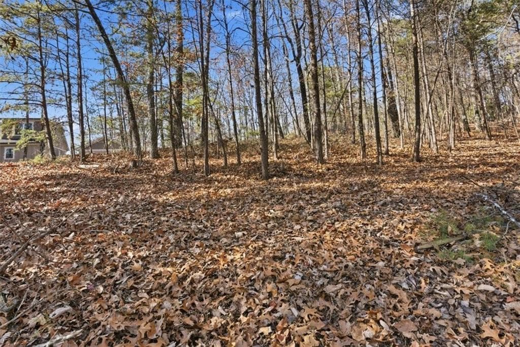 unimproved land for sale at 1166 Hunter Drive, Ranger, GA 30734 — photo 3