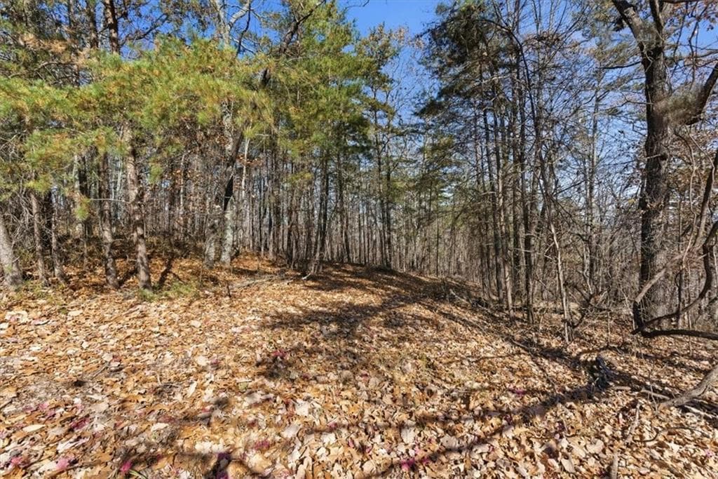 unimproved land for sale at 1166 Hunter Drive, Ranger, GA 30734 — photo 4