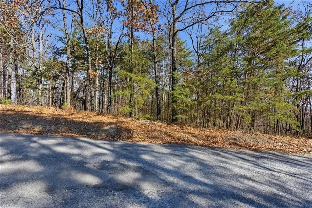 unimproved land for sale at 1166 Hunter Drive, Ranger, GA 30734 — photo 5