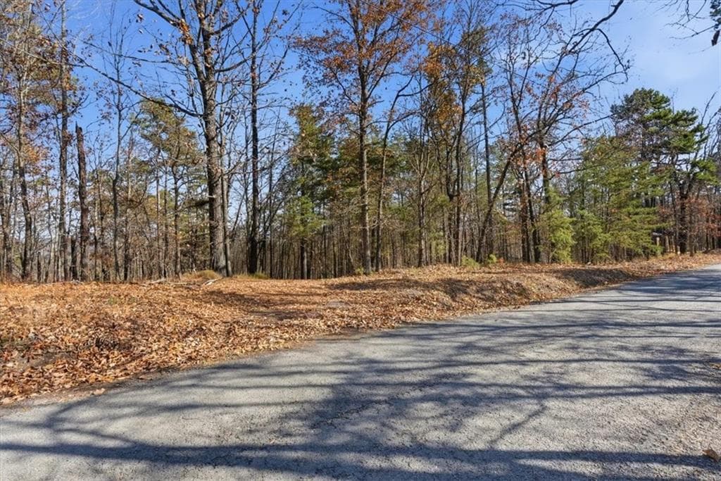 unimproved land for sale at 1166 Hunter Drive, Ranger, GA 30734 — photo 6