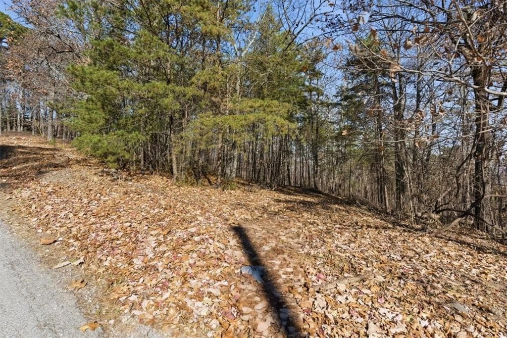 unimproved land for sale at 1166 Hunter Drive, Ranger, GA 30734 — photo 7