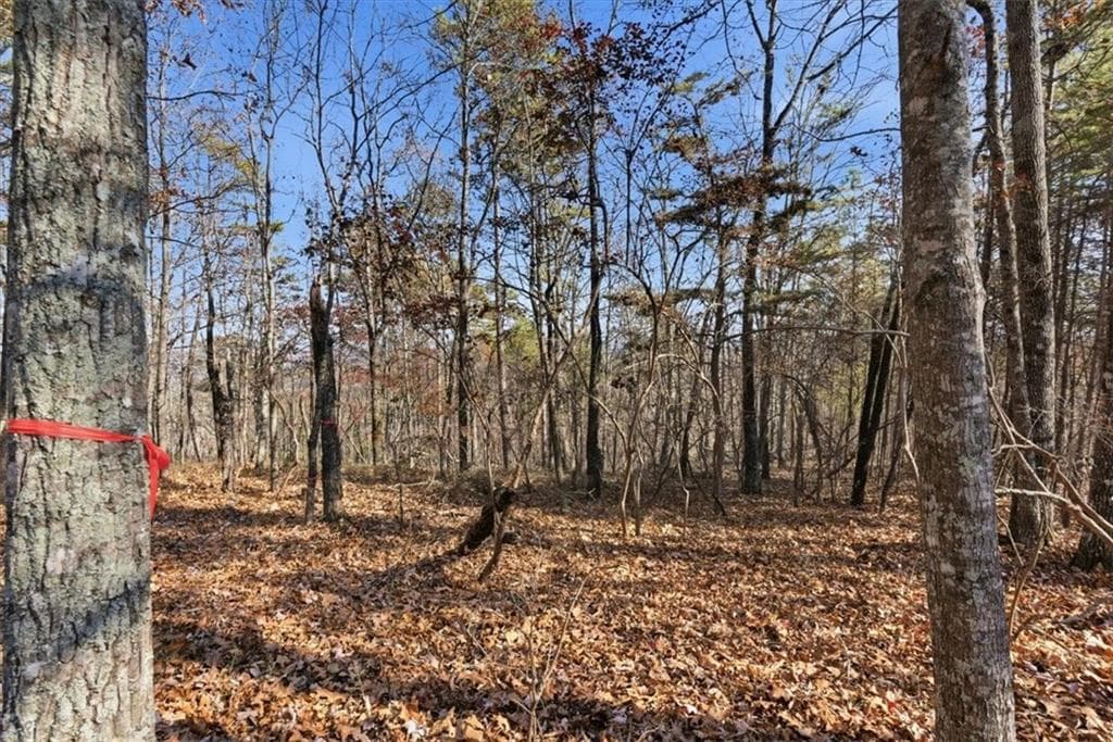 unimproved land for sale at 1166 Hunter Drive, Ranger, GA 30734 — photo 8