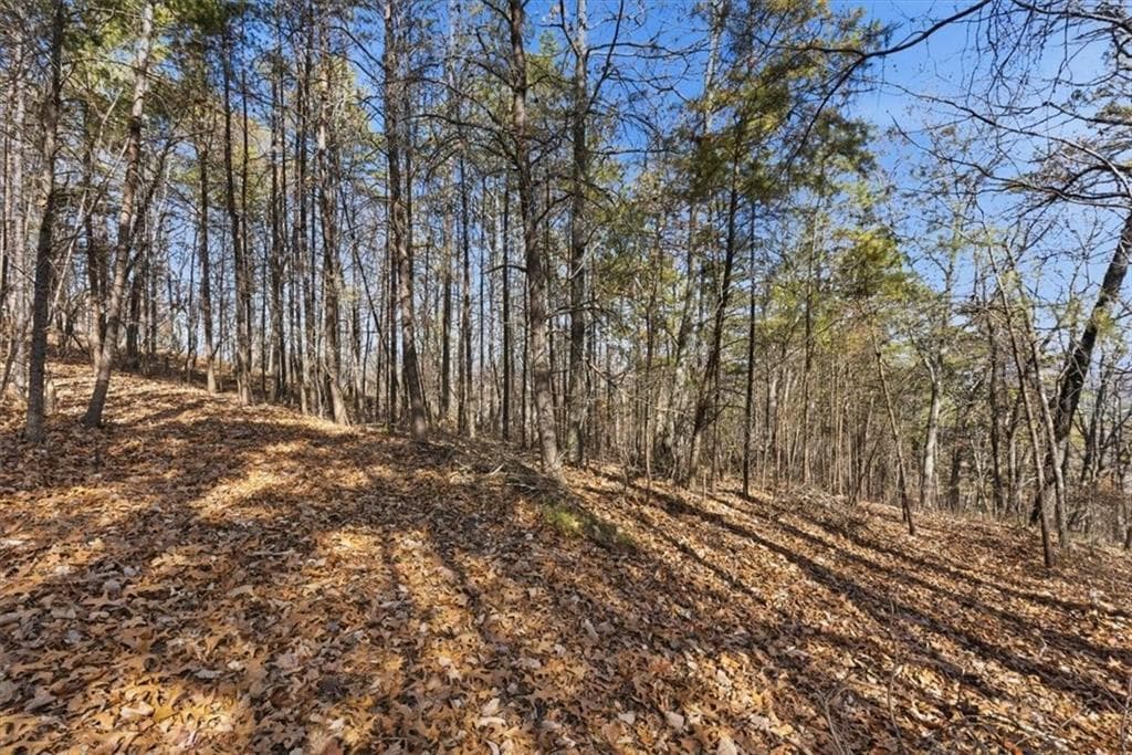 unimproved land for sale at 1166 Hunter Drive, Ranger, GA 30734 — photo 9