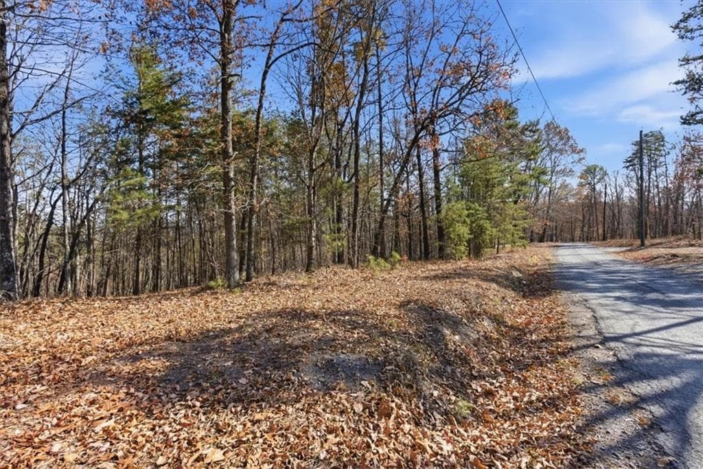 unimproved land for sale at 1166 Hunter Drive, Ranger, GA 30734 — photo 10