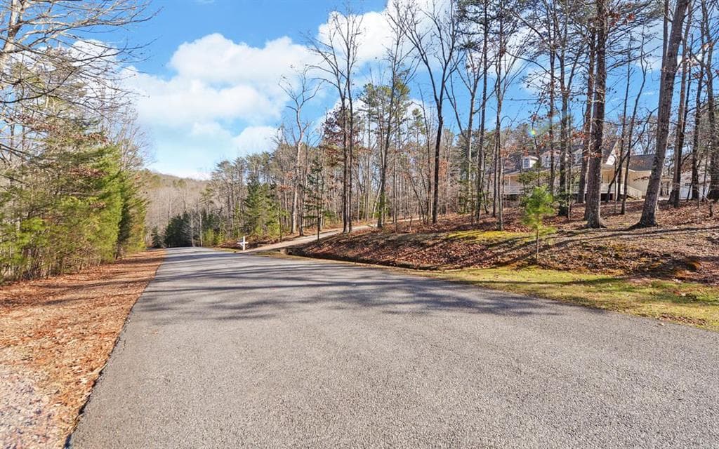 single family residence for sale at 0 Twin Fawns Trail, Dahlonega, GA 30533 — photo 4