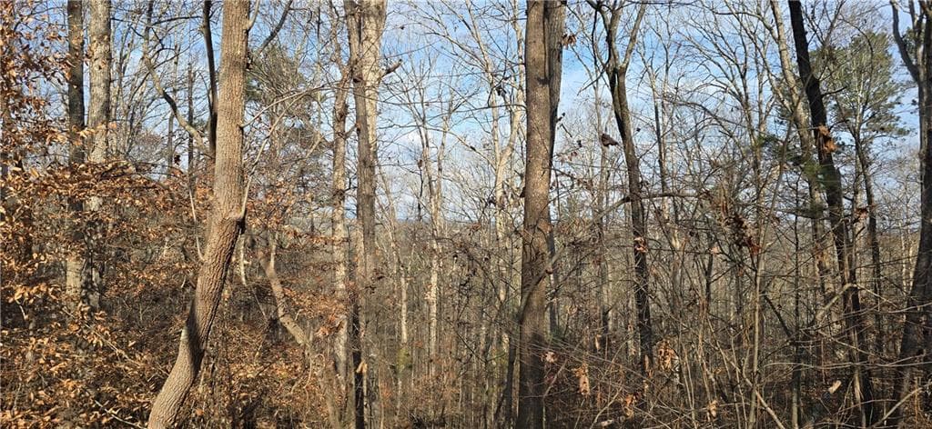 single family residence for sale at 00001 Matt Highway, Ball Ground, GA 30107