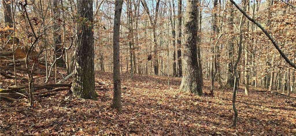 single family residence for sale at 00001 Matt Highway, Ball Ground, GA 30107 — photo 9