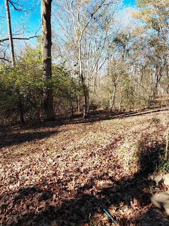 2 bedroom, 1 bathroom, 1,307 sq ft single family residence for sale at 3026 Marietta Highway, Canton, GA 30114 — photo 6