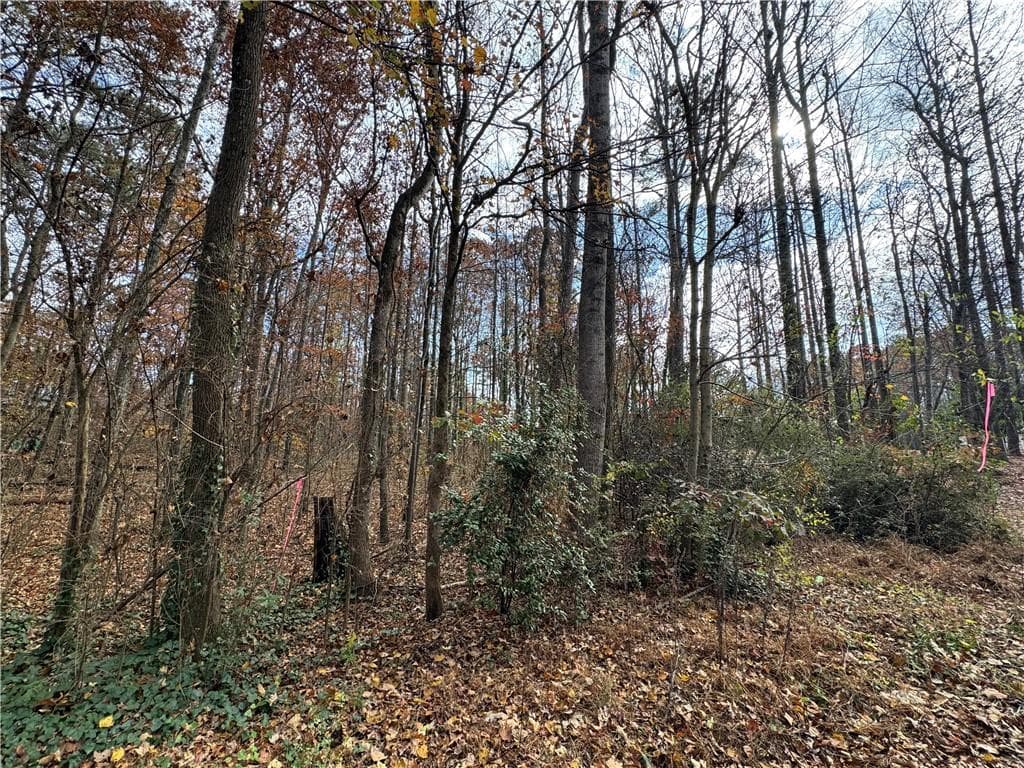 5 bedroom, 3 bathroom, 4,000 sq ft single family residence for sale at 0 Hamby Road, Acworth, GA 30102