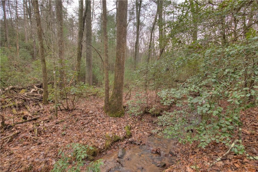 single family residence for sale at 2152 Royal Fern Trail, Big Canoe, GA 30143