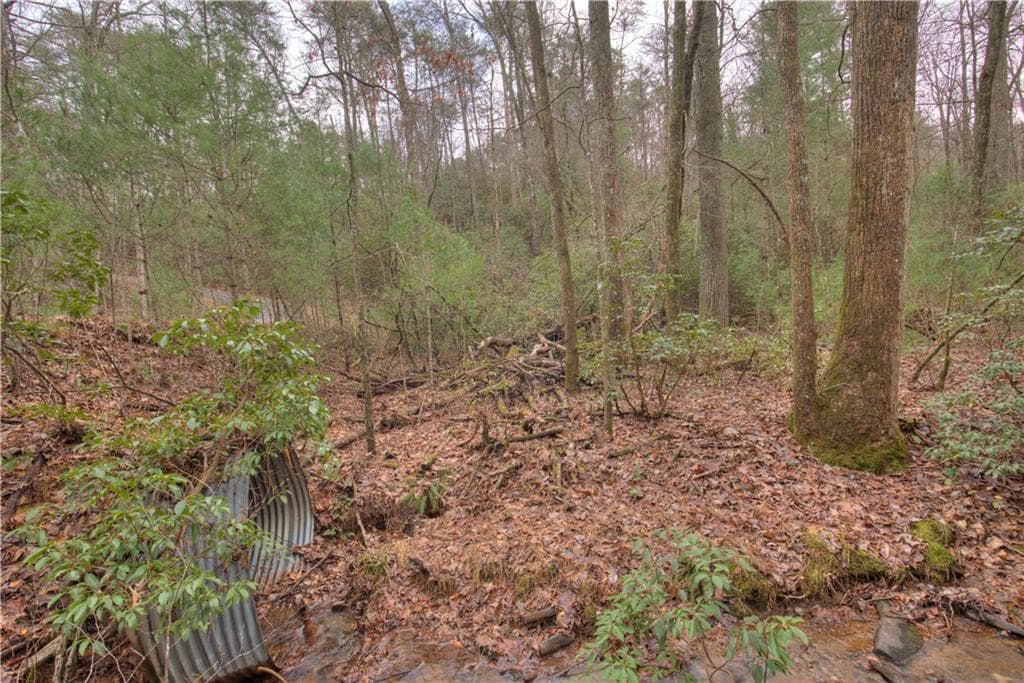 single family residence for sale at 2152 Royal Fern Trail, Big Canoe, GA 30143 — photo 2
