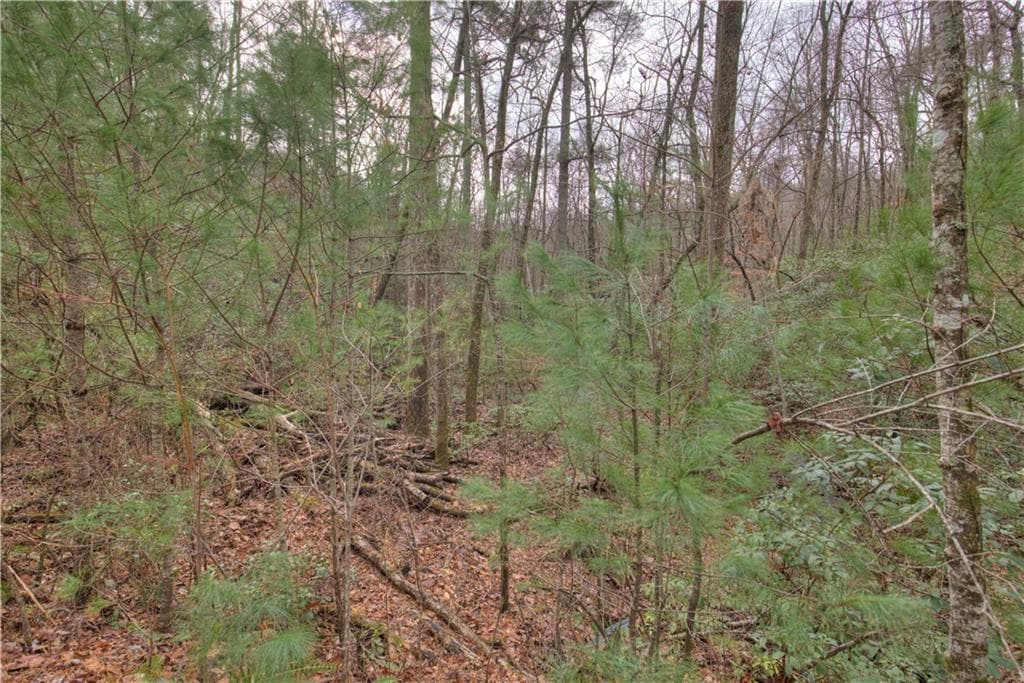 single family residence for sale at 2152 Royal Fern Trail, Big Canoe, GA 30143 — photo 3