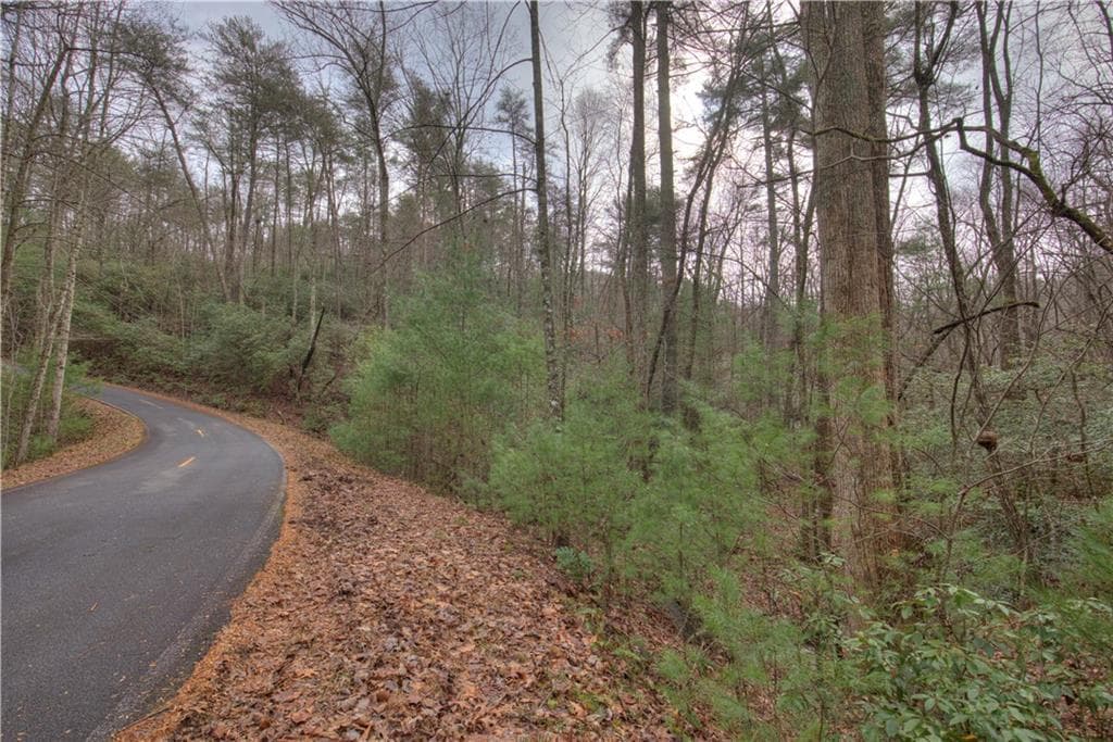 single family residence for sale at 2152 Royal Fern Trail, Big Canoe, GA 30143 — photo 4