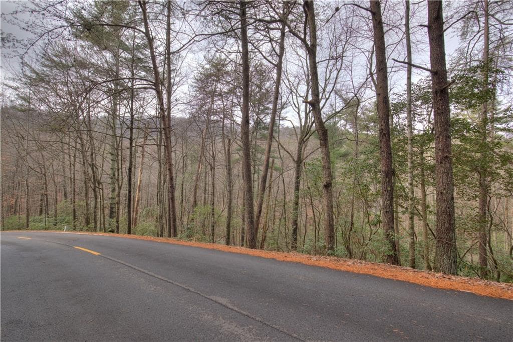 single family residence for sale at 2152 Royal Fern Trail, Big Canoe, GA 30143 — photo 6