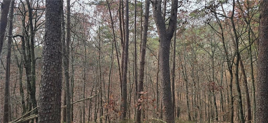 single family residence for sale at Tract 30 Deerfield Estates, Fairmount, GA 30139 — photo 9